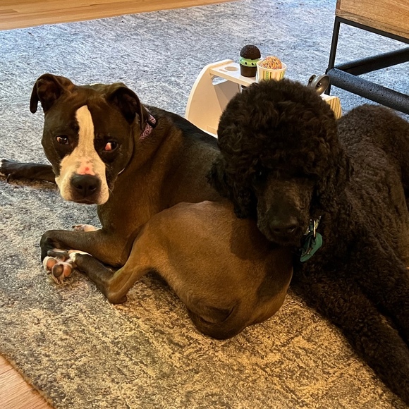 Meet your Posher, Dana - Picture 1 of 1